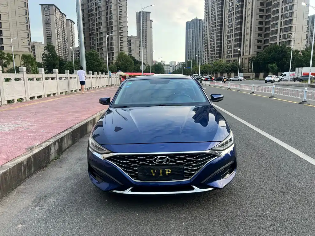 Hyundai Fista — фото 2