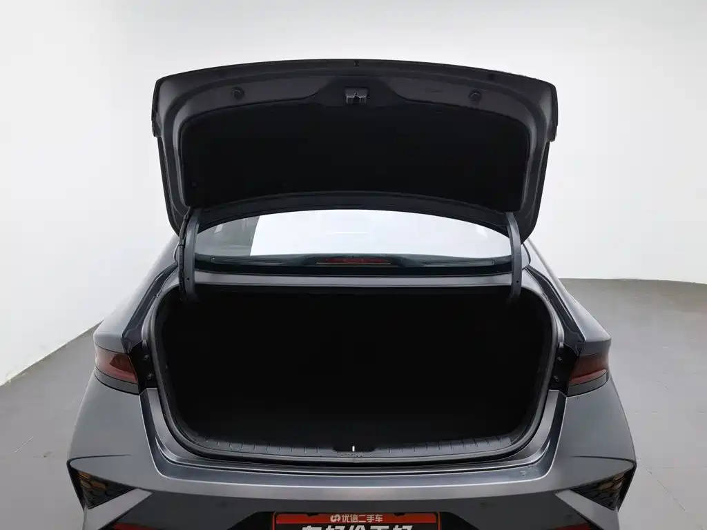 Hyundai Fista — фото 16