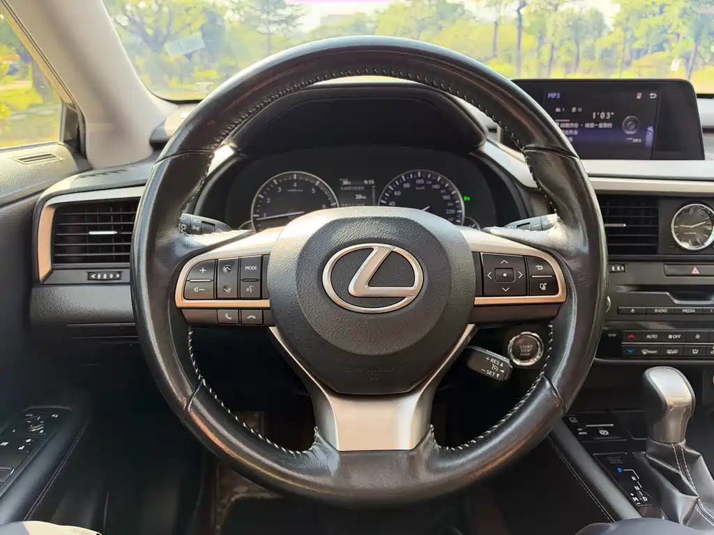 Lexus RX — фото 13