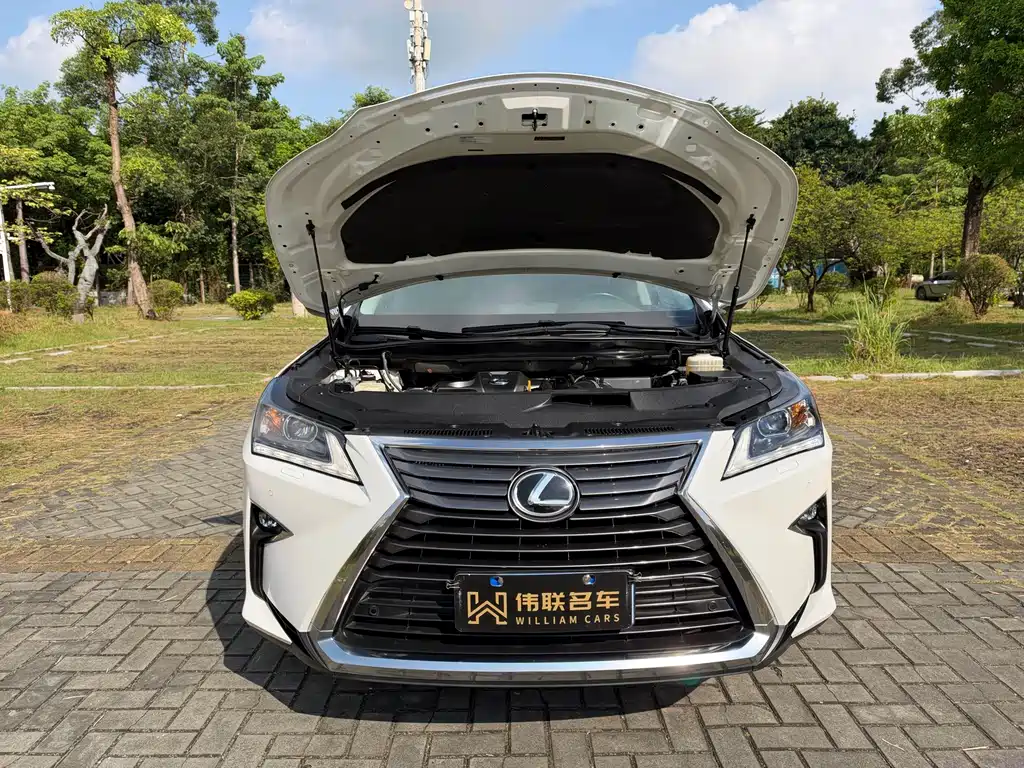 Lexus RX — фото 17
