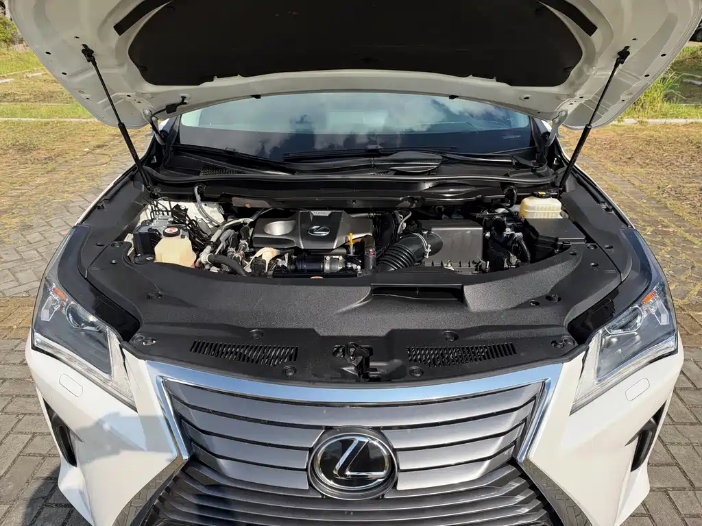 Lexus RX — фото 18