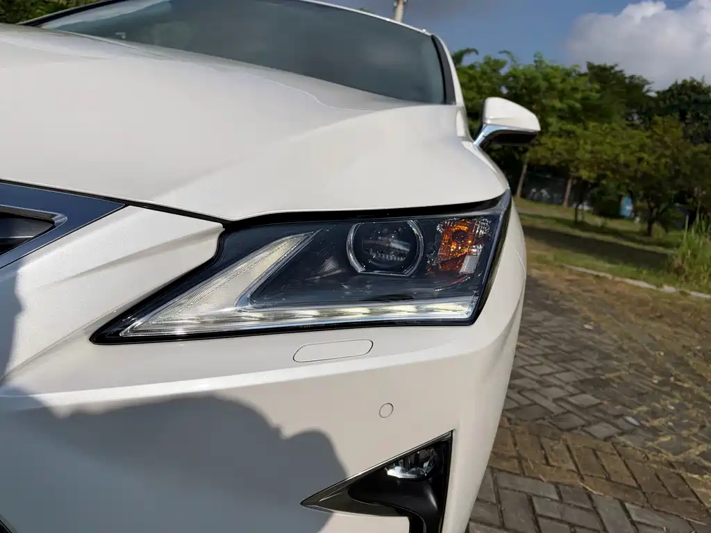 Lexus RX — фото 19