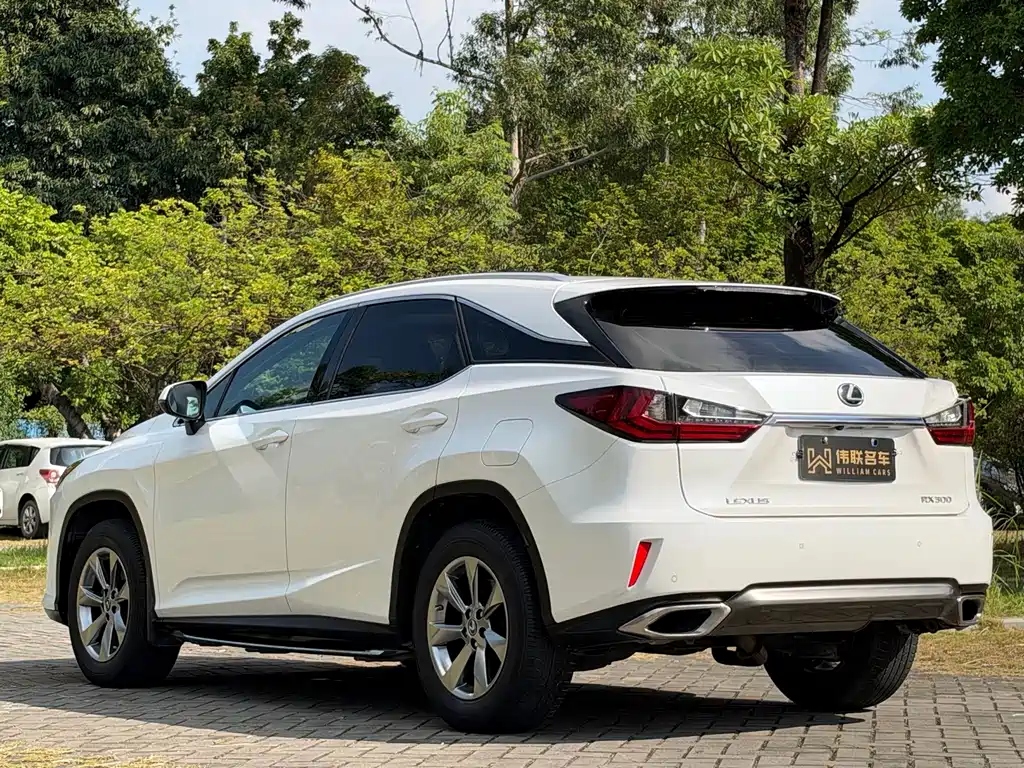 Lexus RX — фото 4
