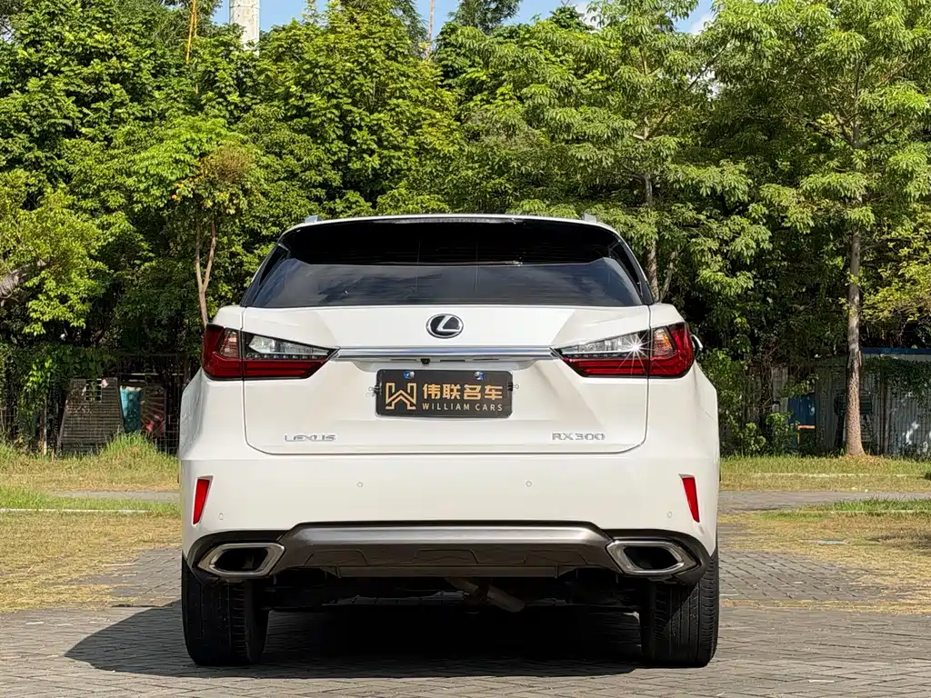 Lexus RX — фото 5