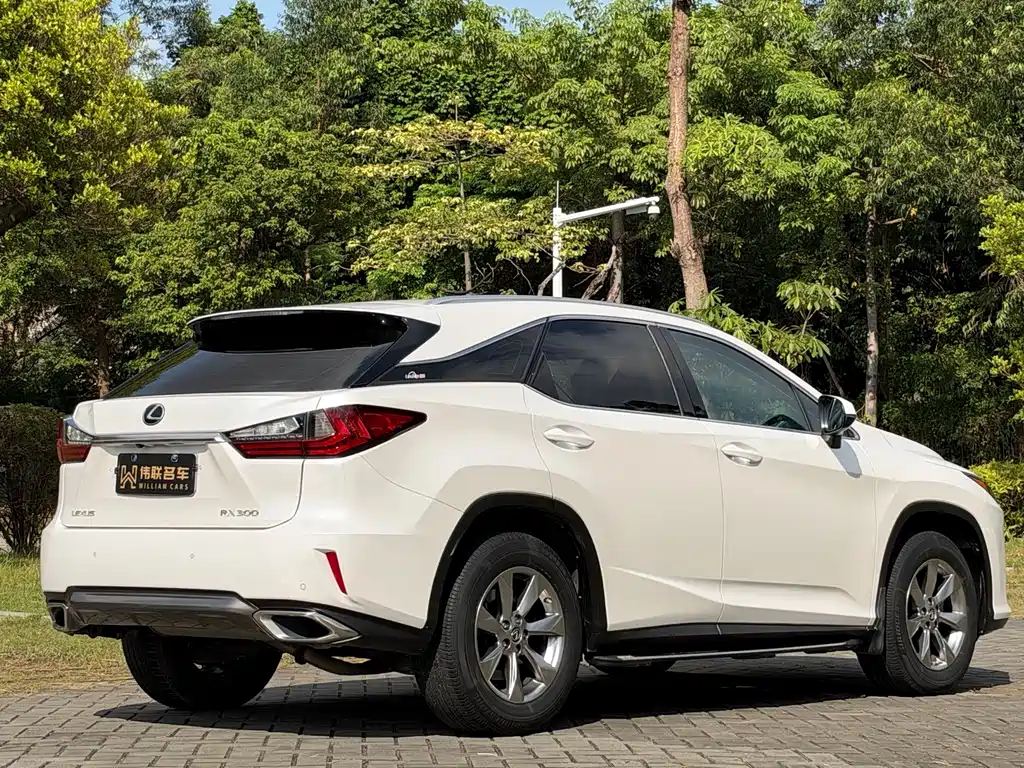 Lexus RX — фото 6
