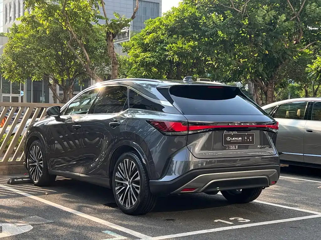 Lexus RX New Energy — фото 11
