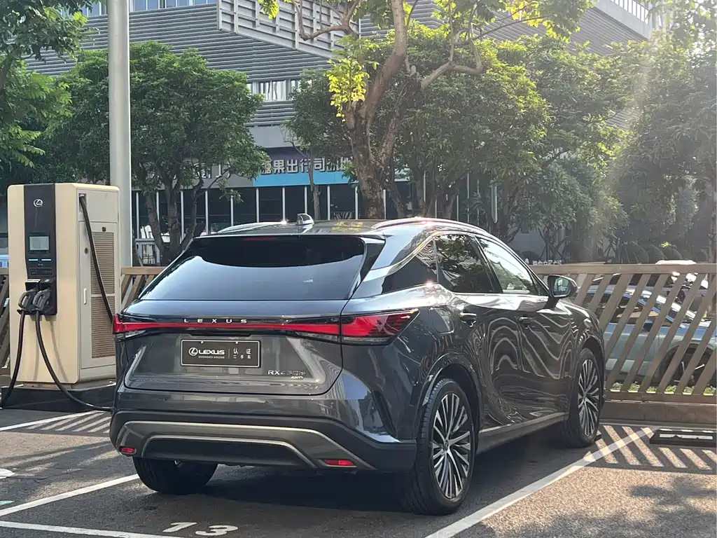 Lexus RX New Energy — фото 13
