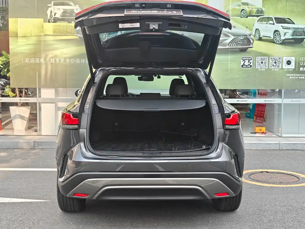 Lexus RX New Energy — фото 9