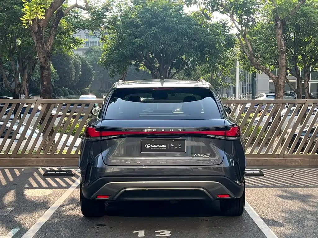 Lexus RX New Energy — фото 10