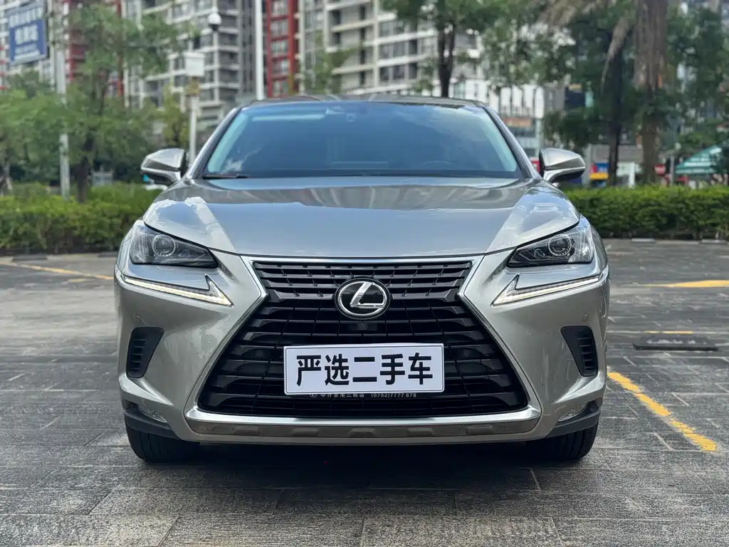 Lexus NX — фото 2