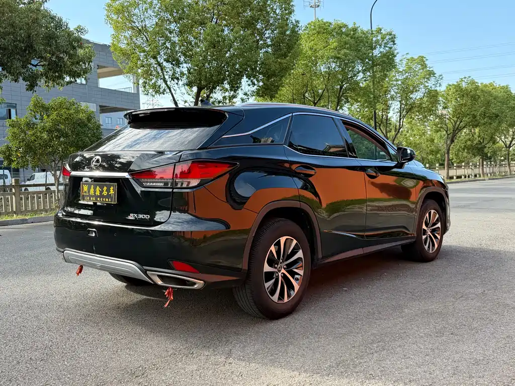 Lexus RX — фото 6
