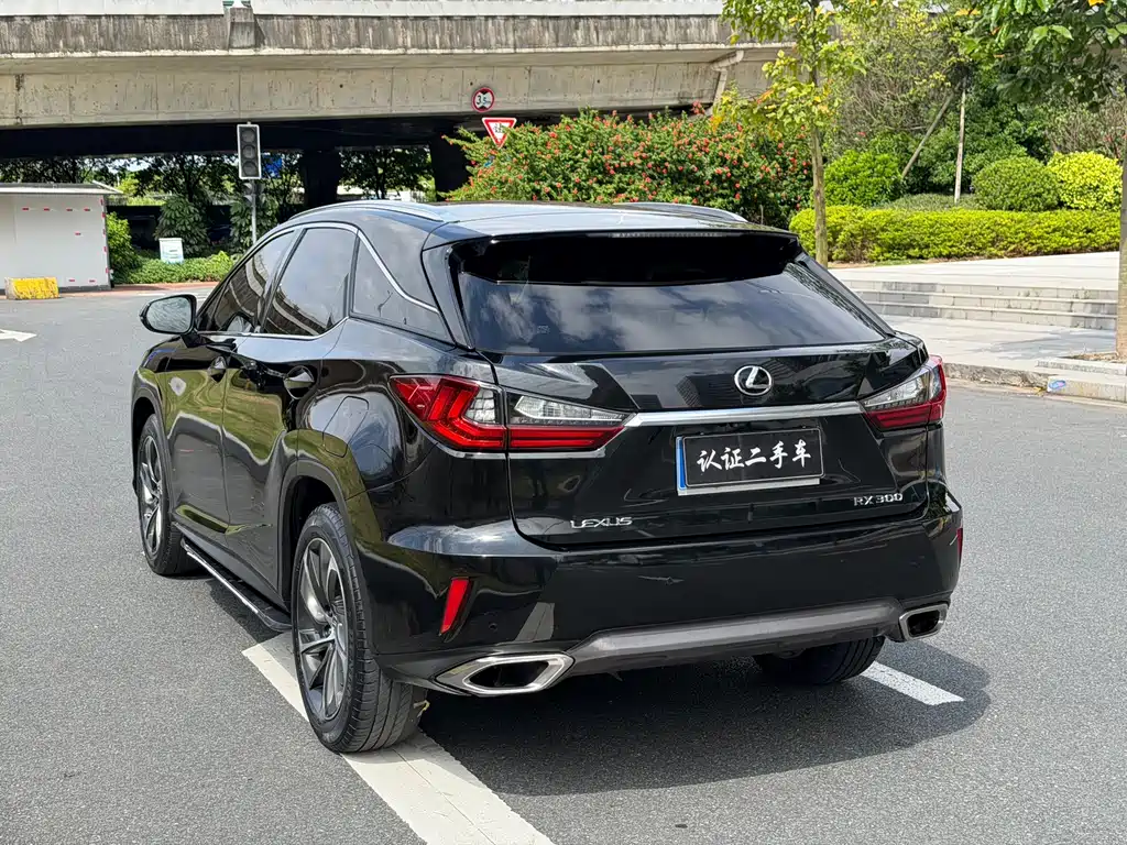 Lexus RX — фото 18