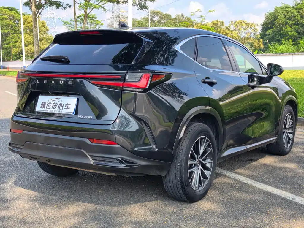 Lexus NX — фото 6