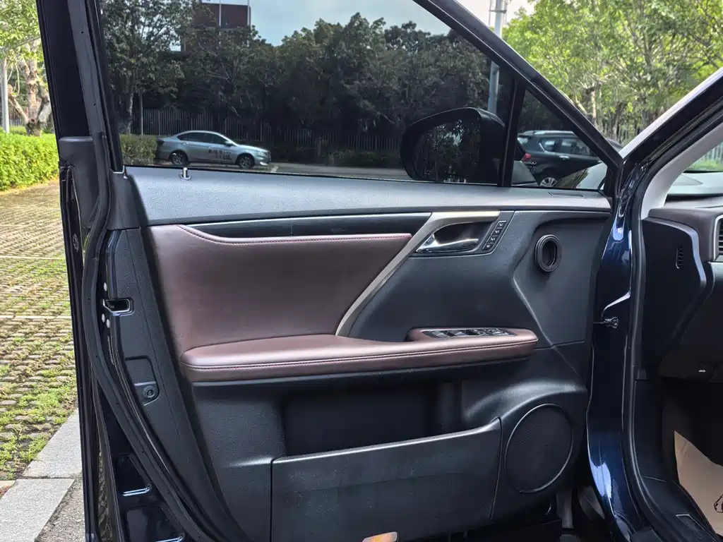Lexus RX — фото 13