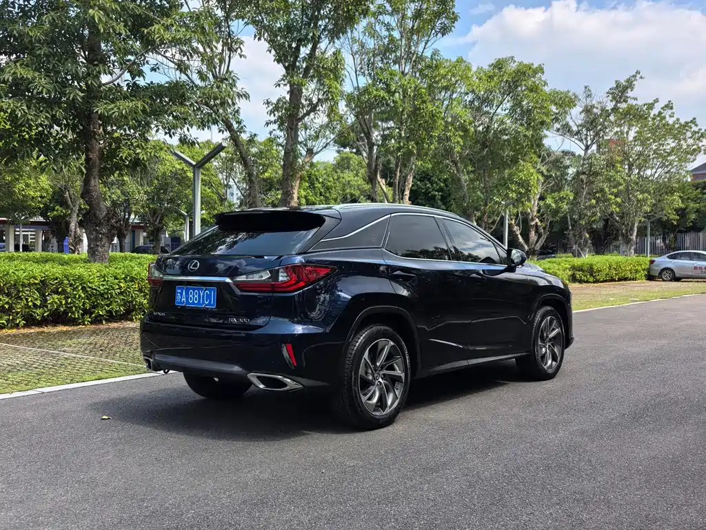 Lexus RX — фото 9