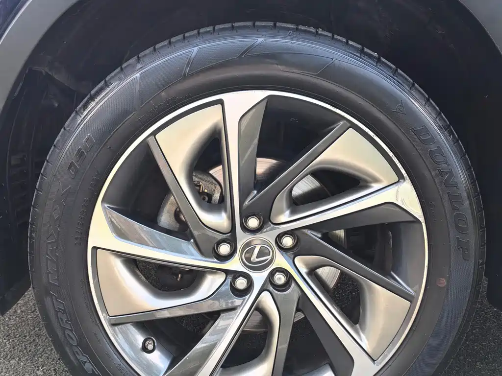 Lexus RX — фото 10