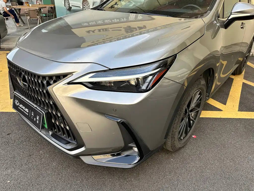 Lexus NX New Energy — фото 2