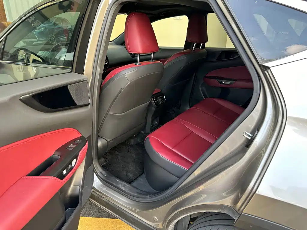 Lexus NX New Energy — фото 15