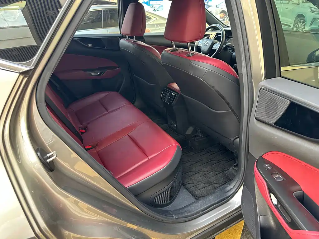 Lexus NX New Energy — фото 18