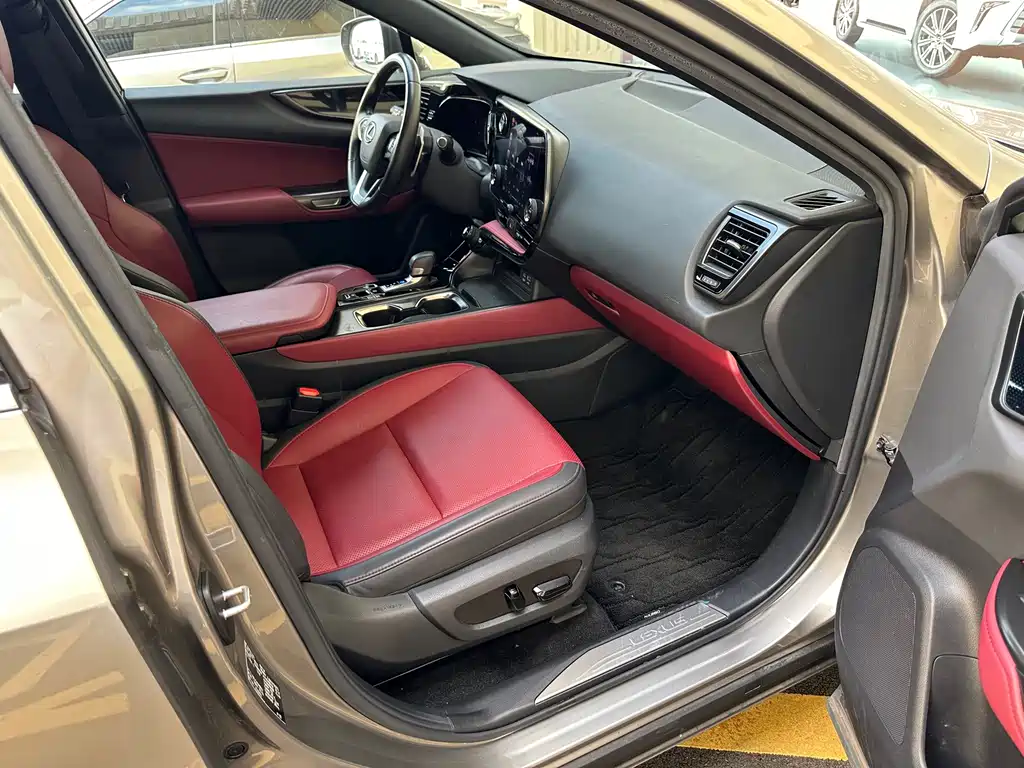 Lexus NX New Energy — фото 19