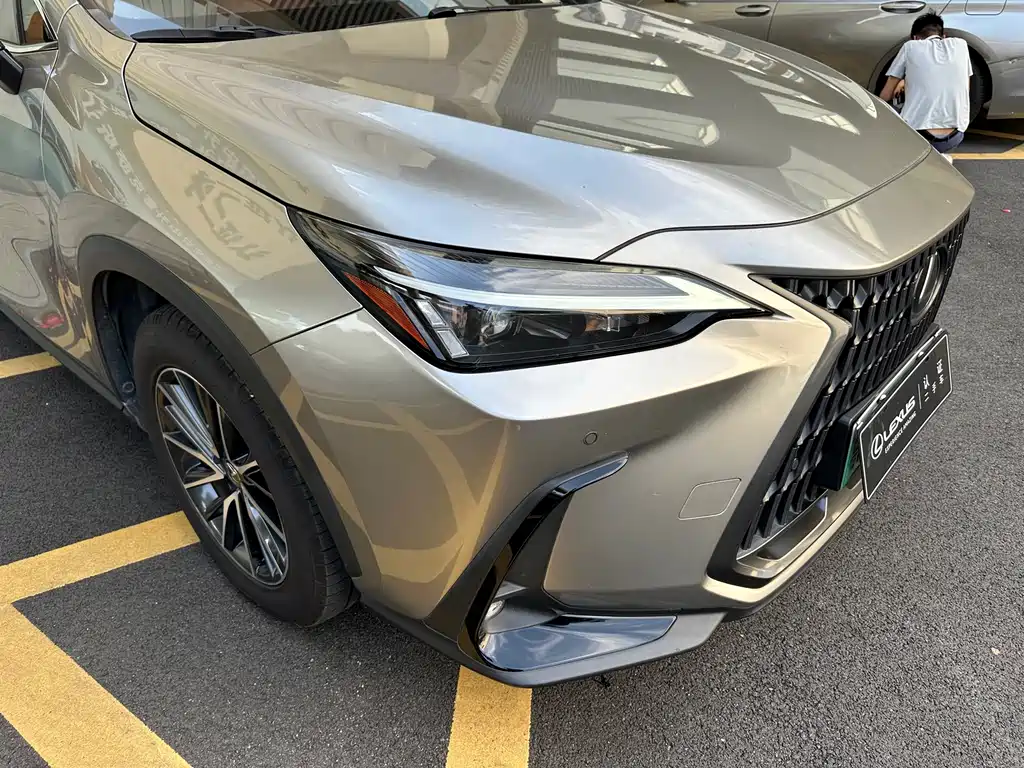 Lexus NX New Energy — фото 3