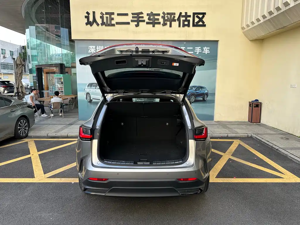 Lexus NX New Energy — фото 21