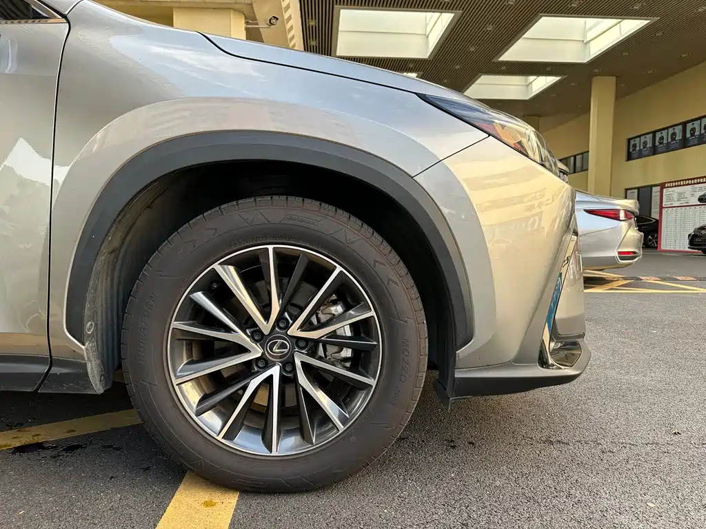 Lexus NX New Energy — фото 23