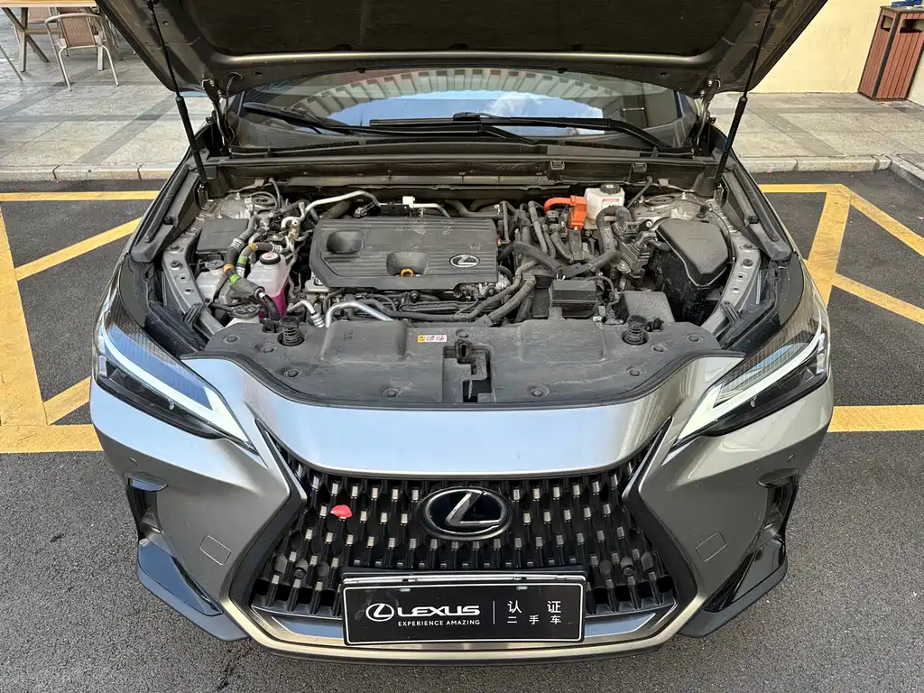 Lexus NX New Energy — фото 4