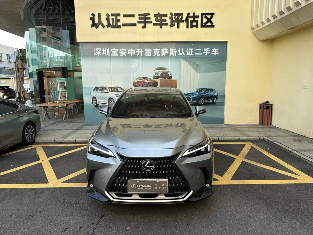 Lexus NX New Energy — фото 6