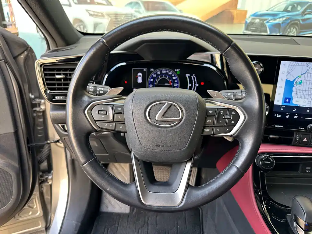 Lexus NX New Energy — фото 8