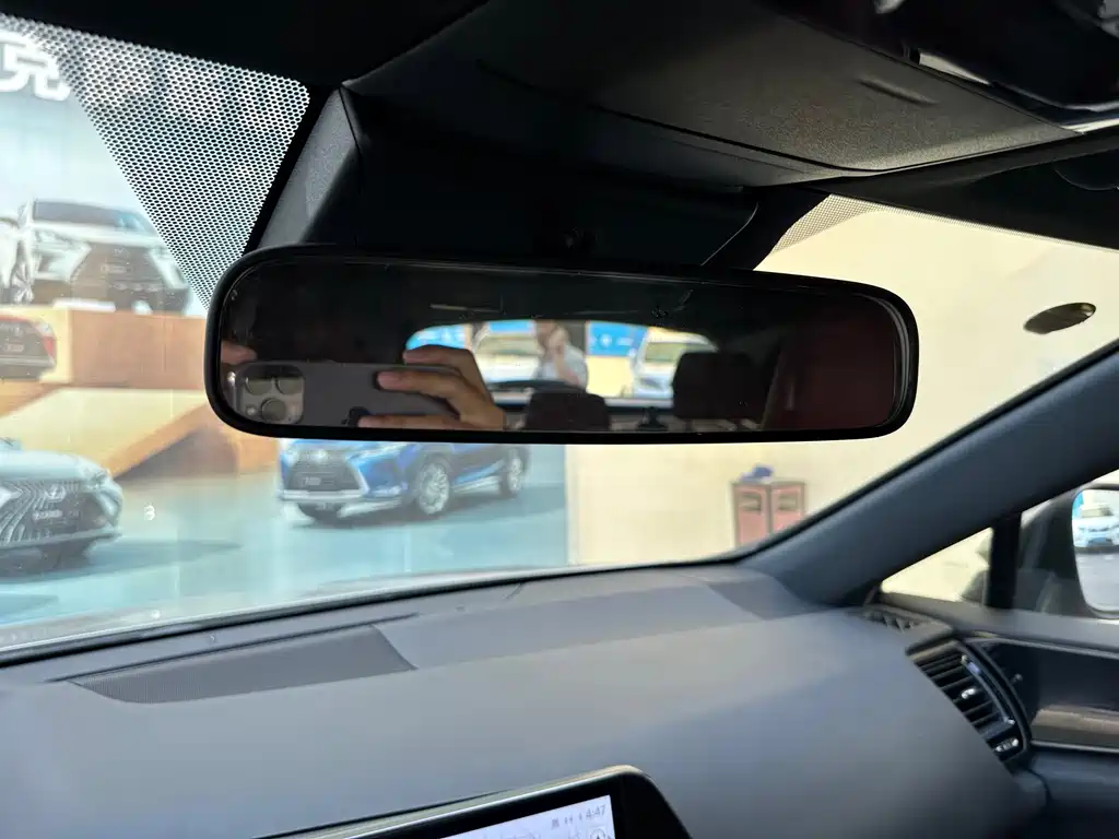 Lexus NX New Energy — фото 10
