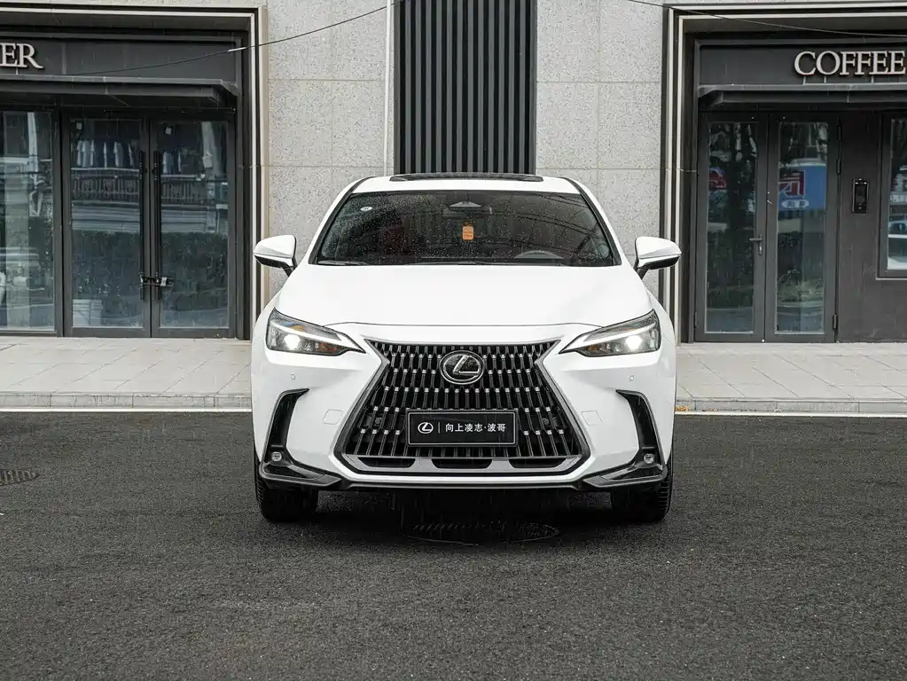 Lexus NX — фото 2