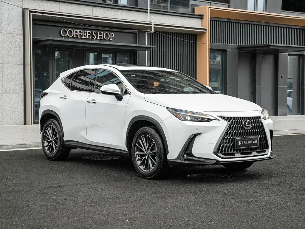 Lexus NX — фото 3