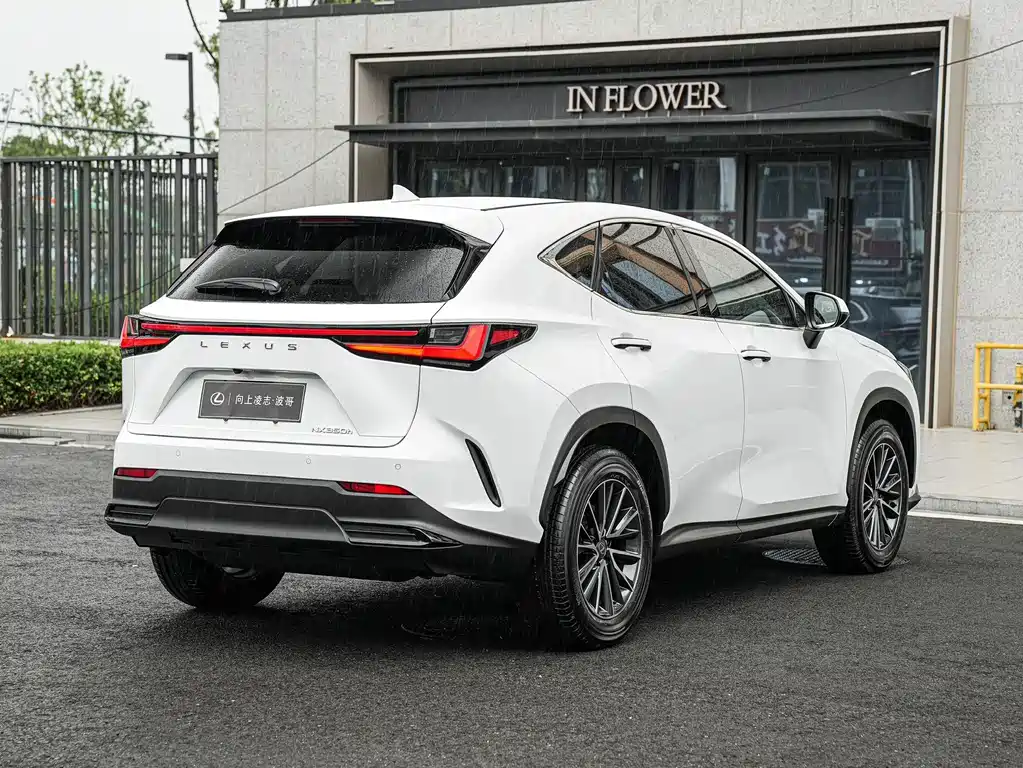 Lexus NX — фото 6