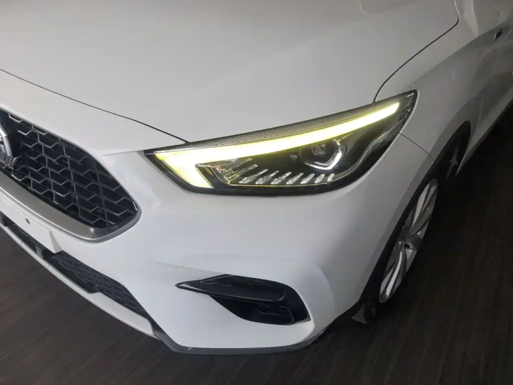 MG ZS — фото 24