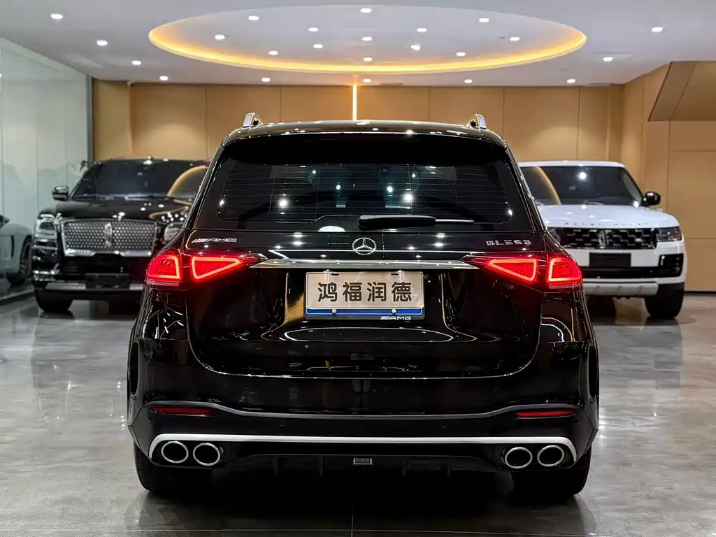 Mercedes-Benz GLE (Import) — фото 9
