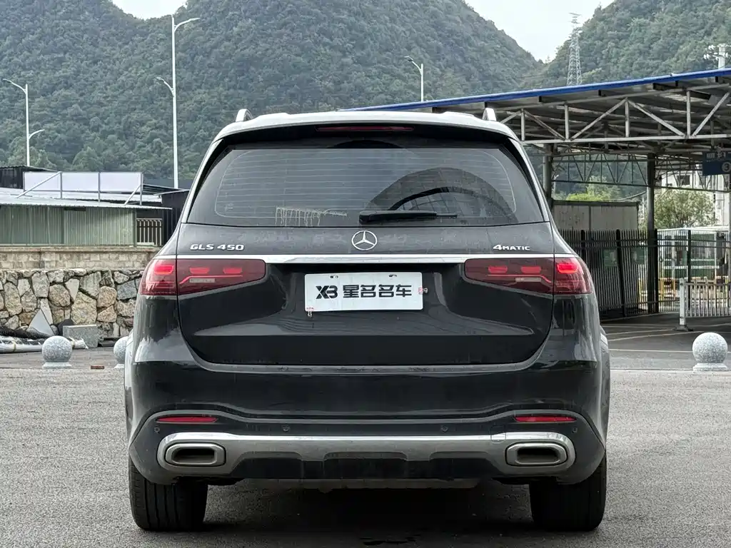 Mercedes-Benz GLS — фото 11