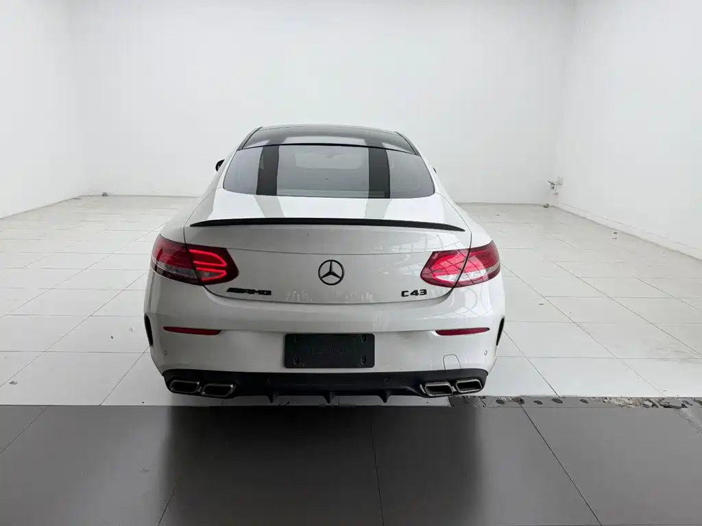 Mercedes-Benz C-Class (Import) — фото 8