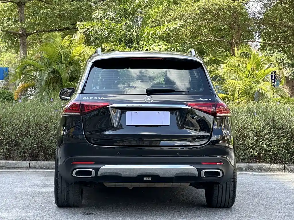 Mercedes-Benz GLE (Import) — фото 5