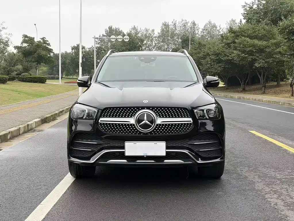 Mercedes-Benz GLE (Import) — фото 3
