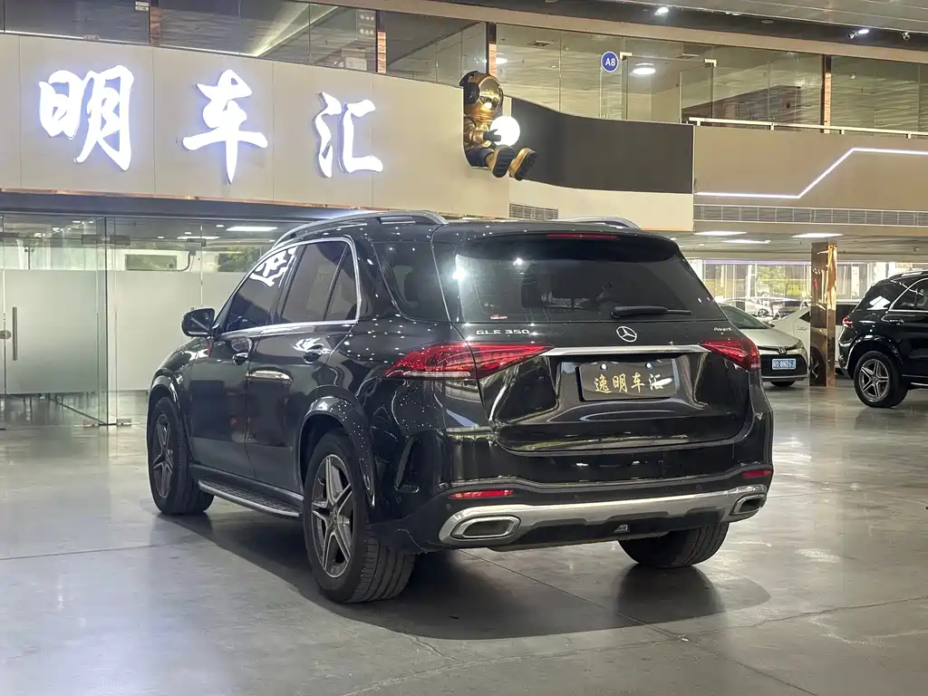 Mercedes-Benz GLE (Import) — фото 15