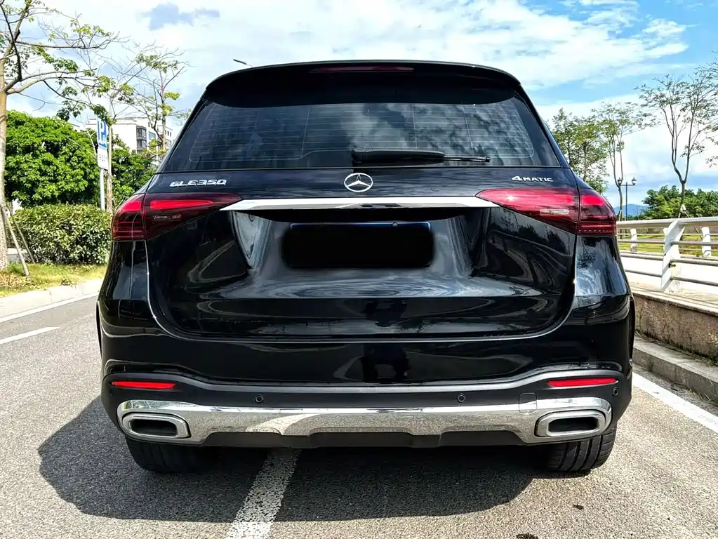 Mercedes-Benz GLE (Import) — фото 3