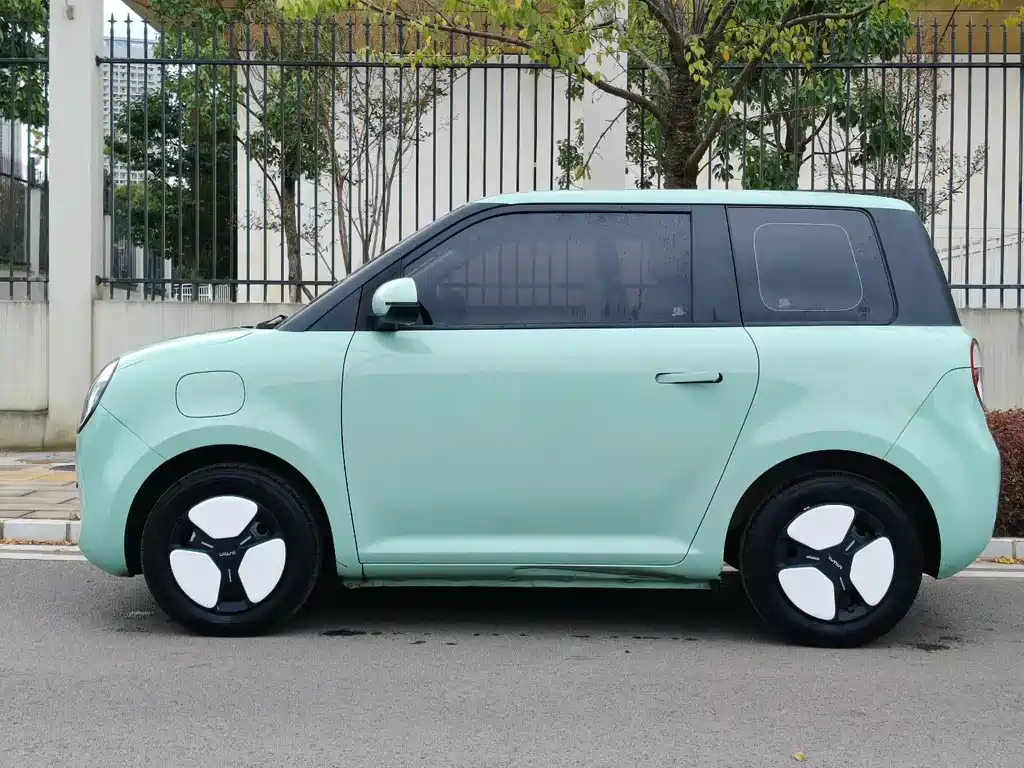 Qiyuan Lumin — фото 3