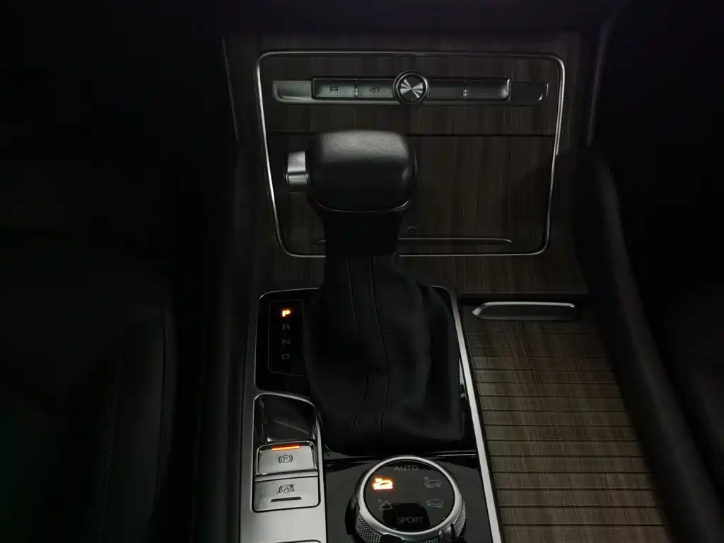 Roewe RX8 — фото 13