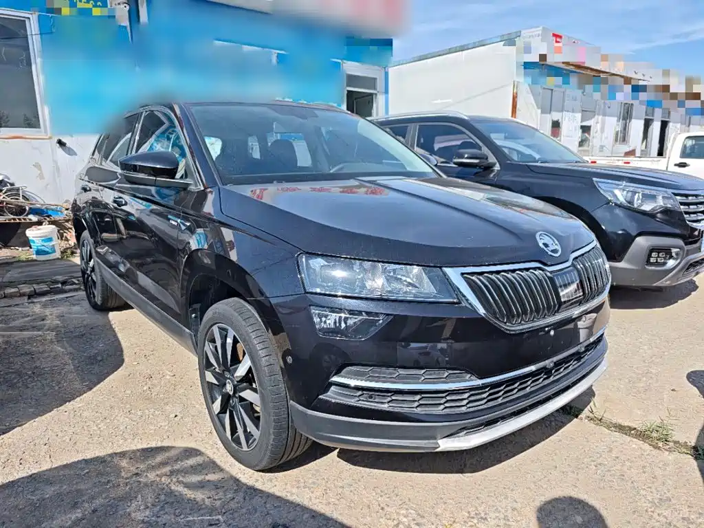 Skoda Karoq — фото 4