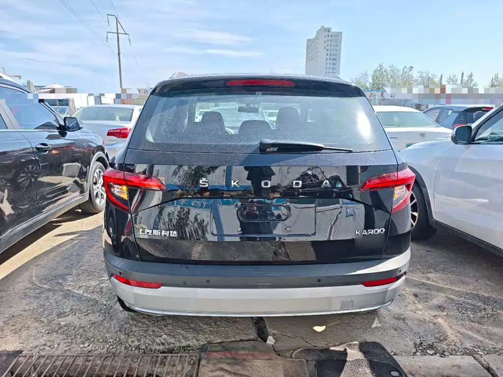 Skoda Karoq — фото 6