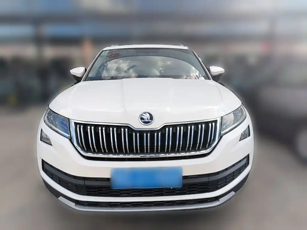 Skoda Kodiaq — фото 5
