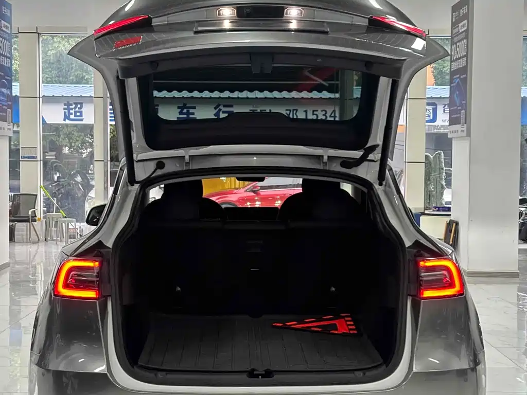 Tesla Model Y — фото 11