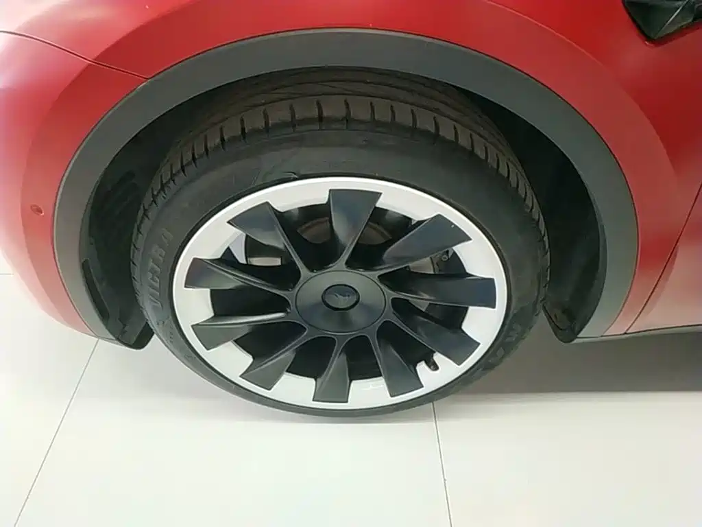 Tesla Model Y — фото 23