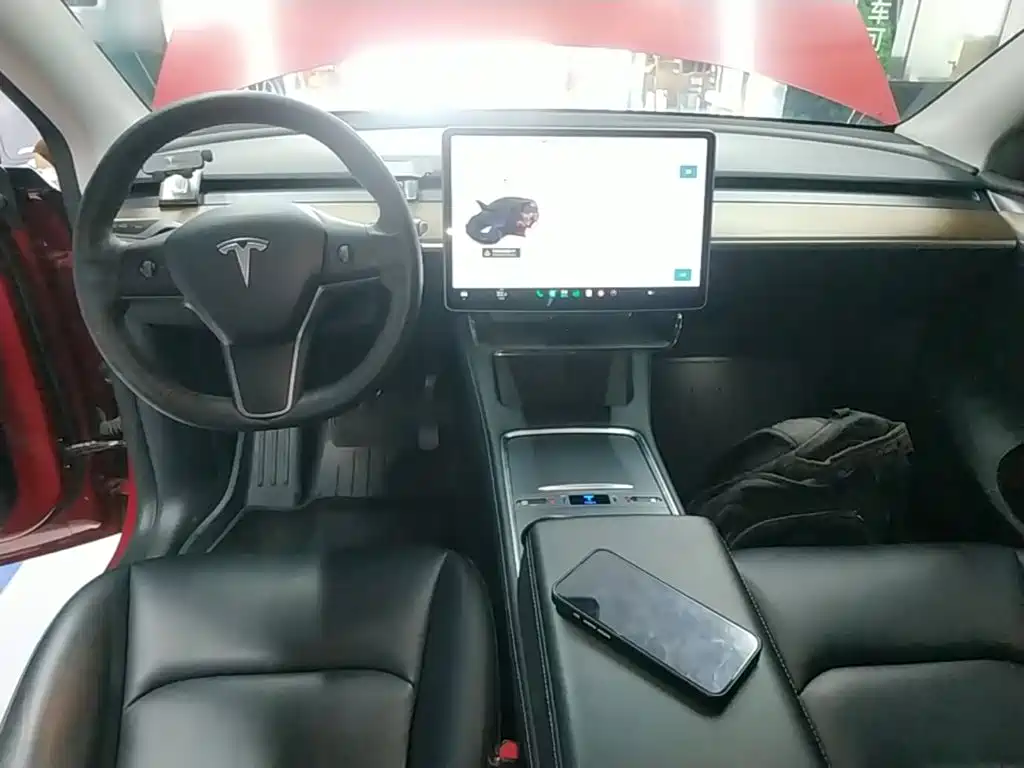 Tesla Model Y — фото 10